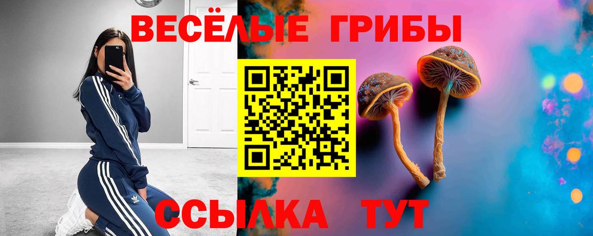 Псилоцибиновые грибы мицелий Скопин